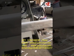 Auto máquina de embalagem do pacote de toalha de papel para a toalha de mão da dobra de Z